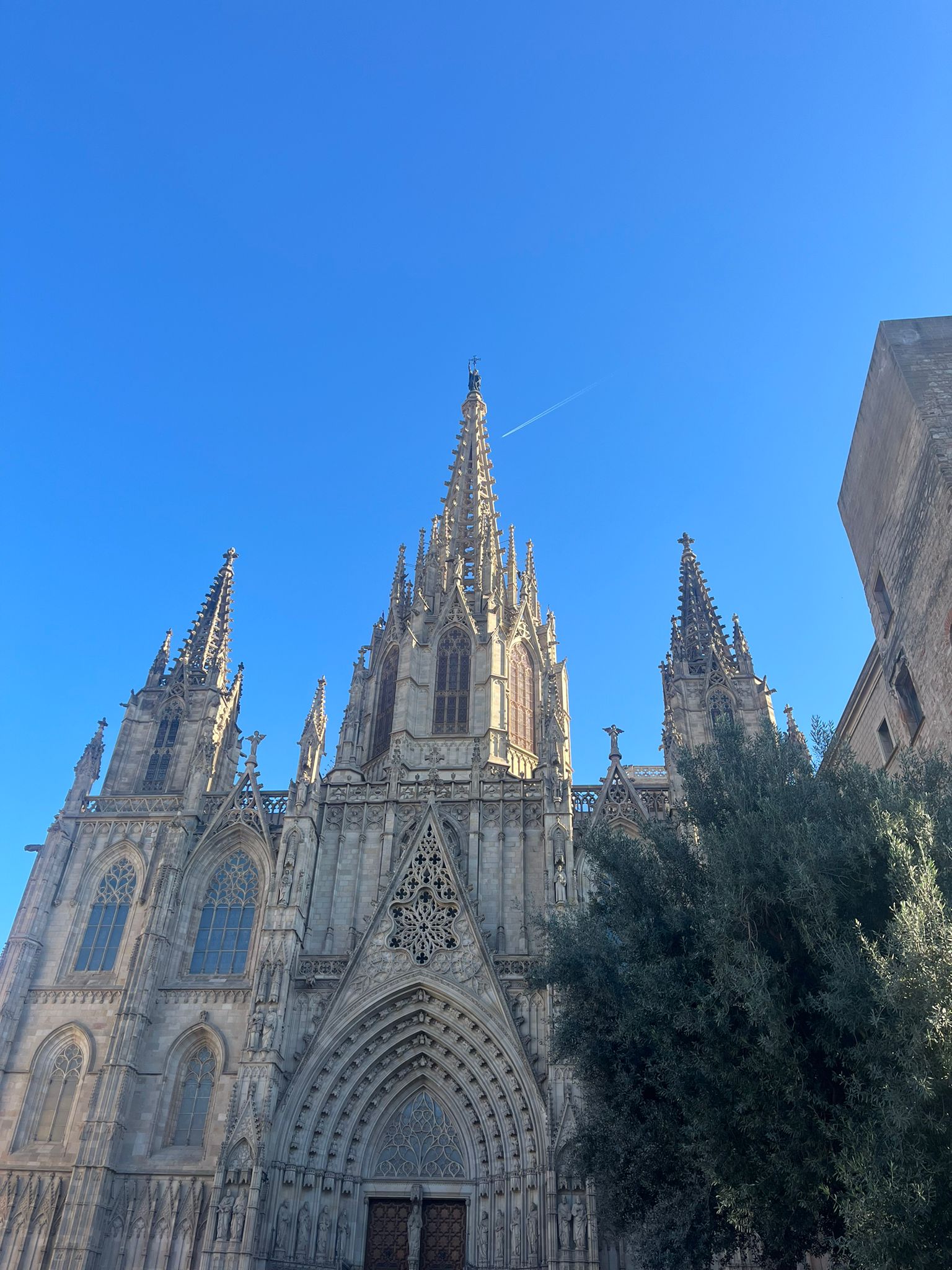 WhatsApp Image 2025-01-14 at 20.42.06 (2)