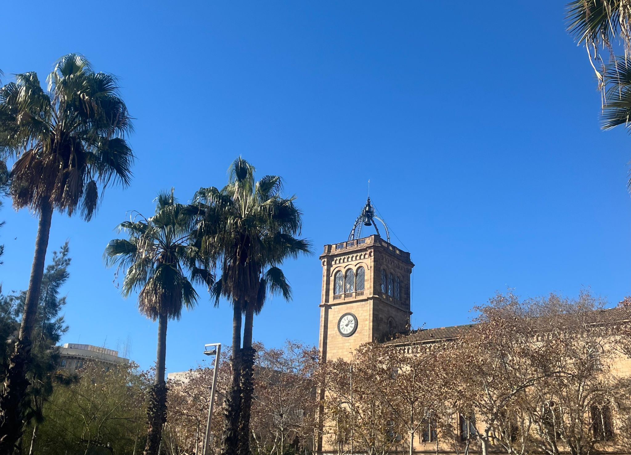 WhatsApp Image 2025-01-14 at 20.42.06