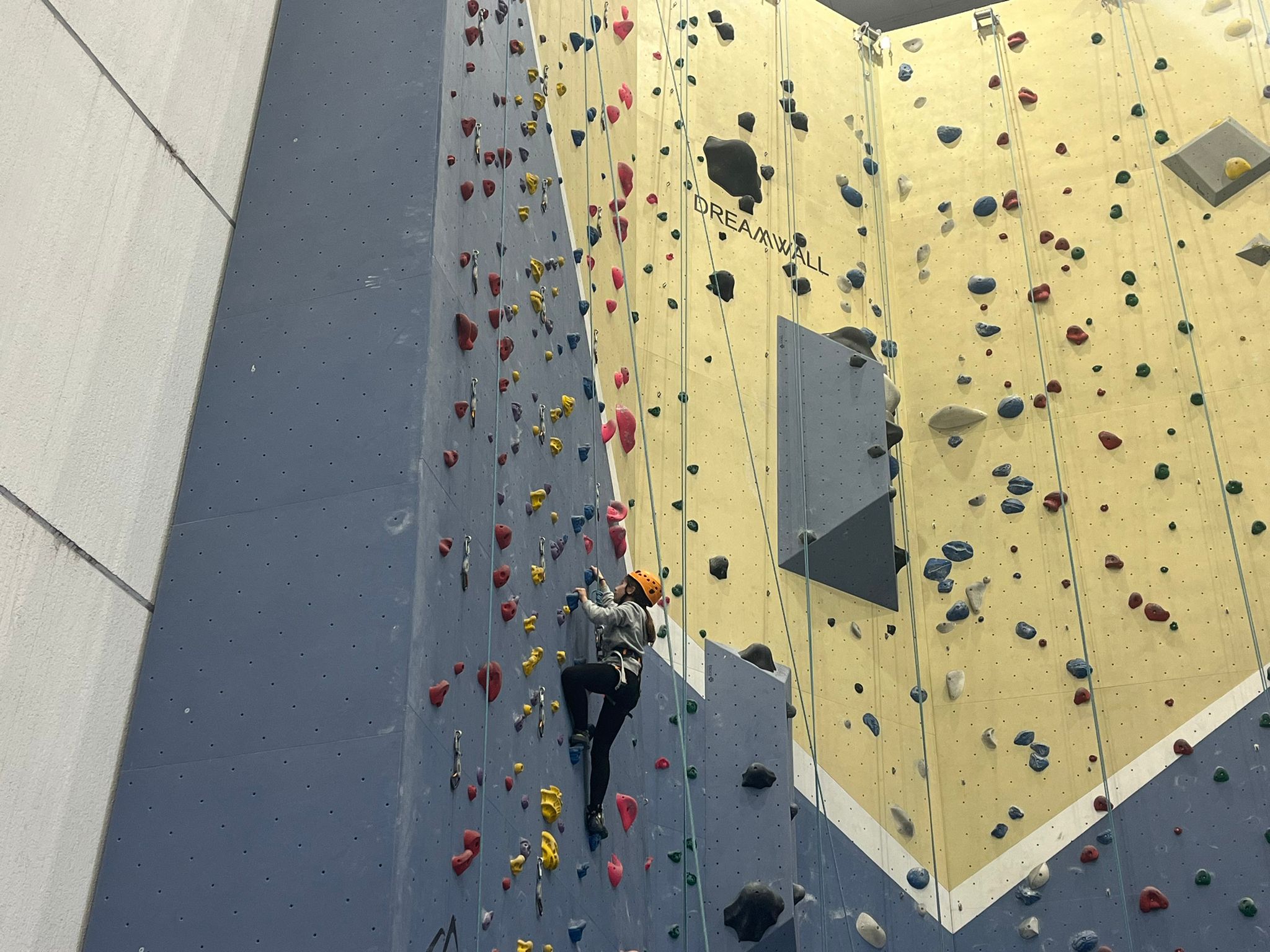 WhatsApp Image 2025-01-15 at 18.50.30