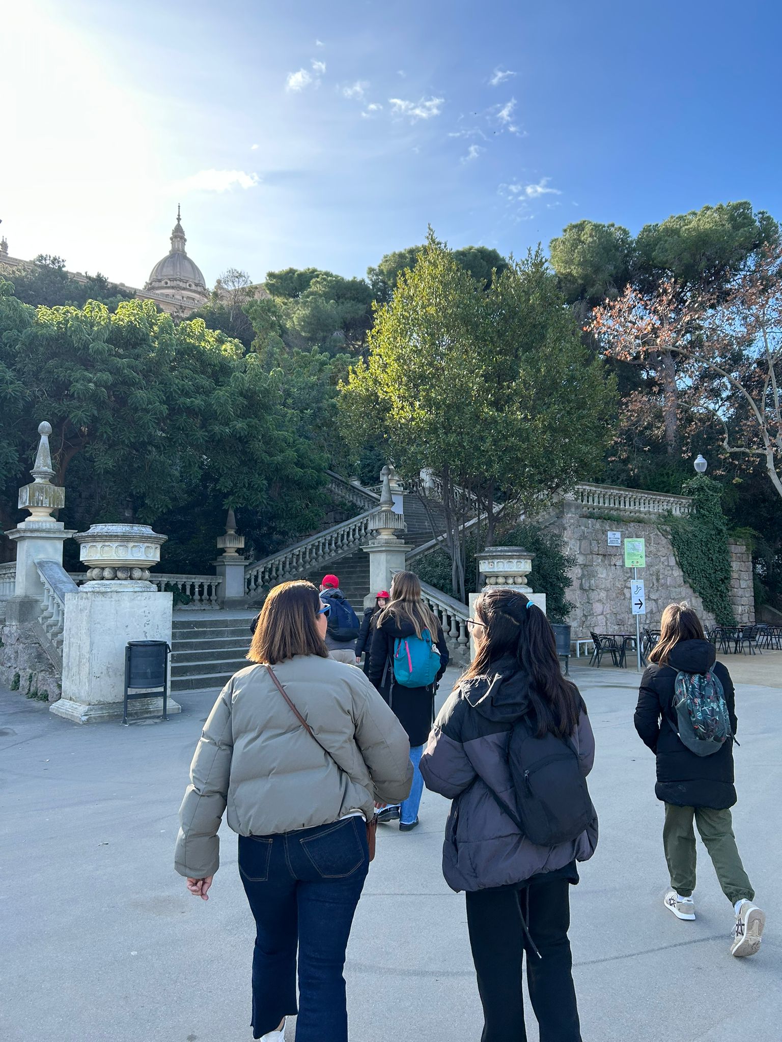 WhatsApp Image 2025-01-17 at 14.31.50 (1)