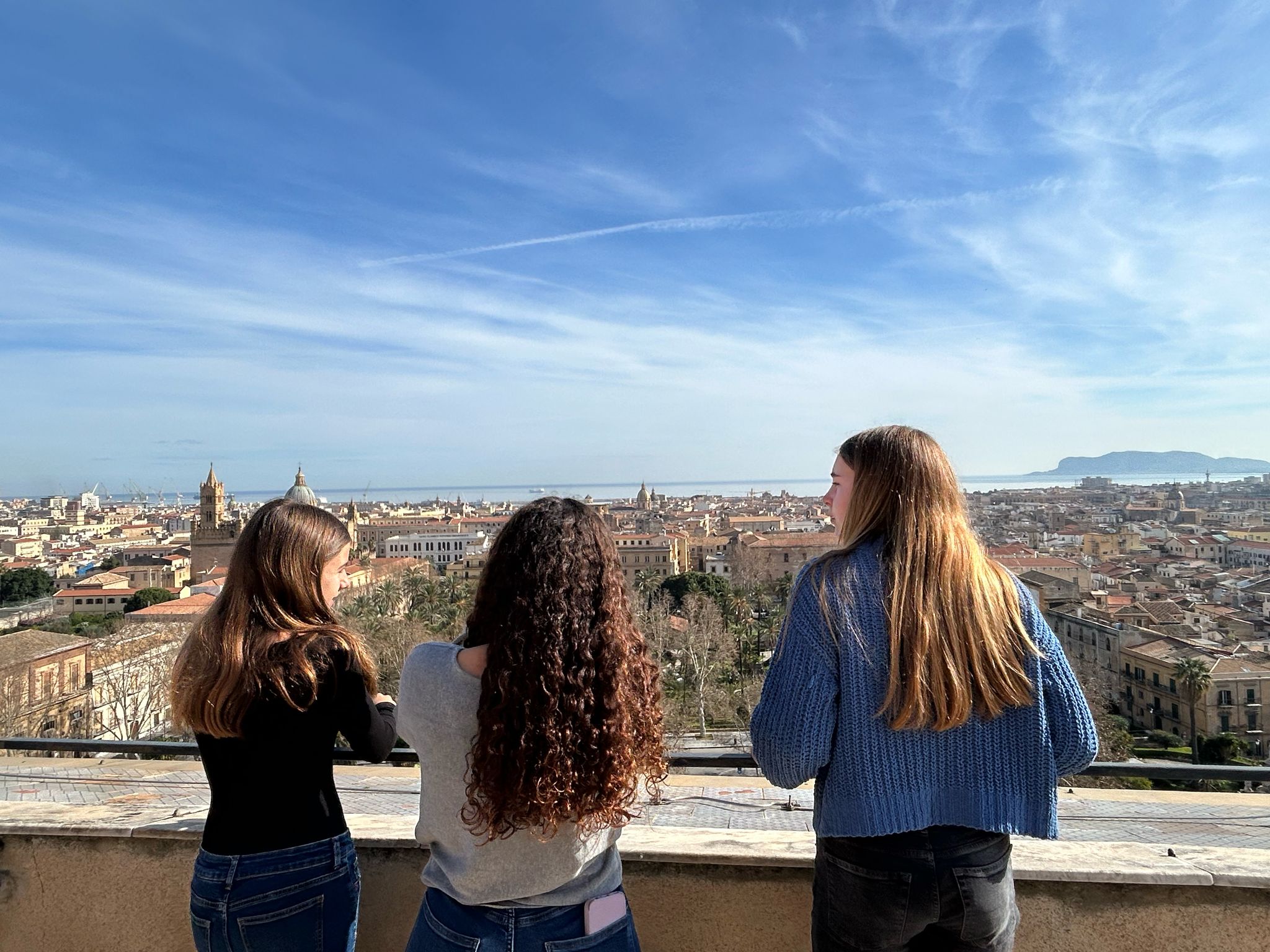 WhatsApp Image 2025-02-19 at 11.46.20 (4)