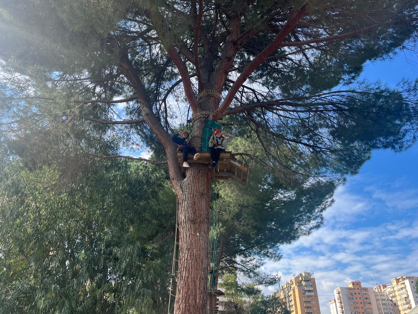 WhatsApp Image 2025-02-19 at 11.46.21 (1)