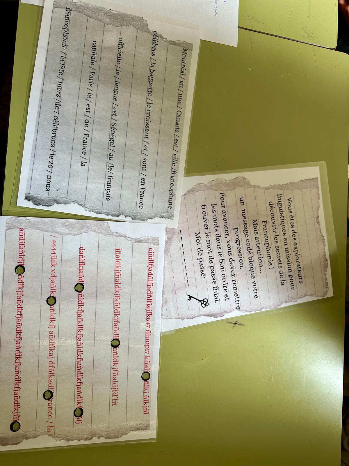 WhatsApp Image 2025-03-25 at 11.15.33