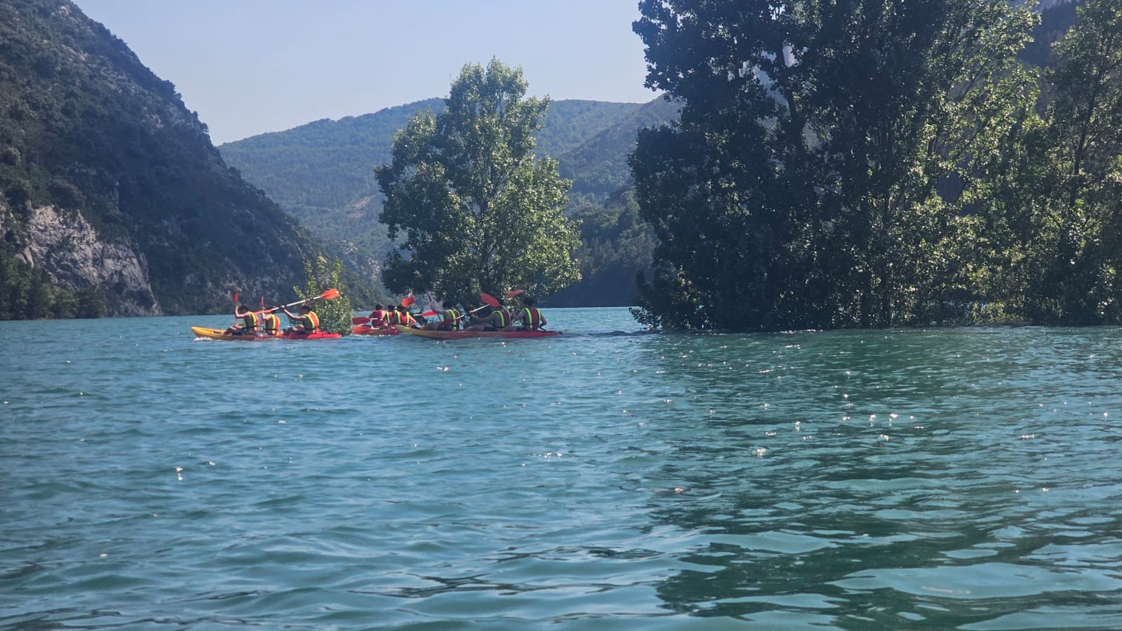 01c8d522-6312-4f77-a11b-d2d8b7d22259