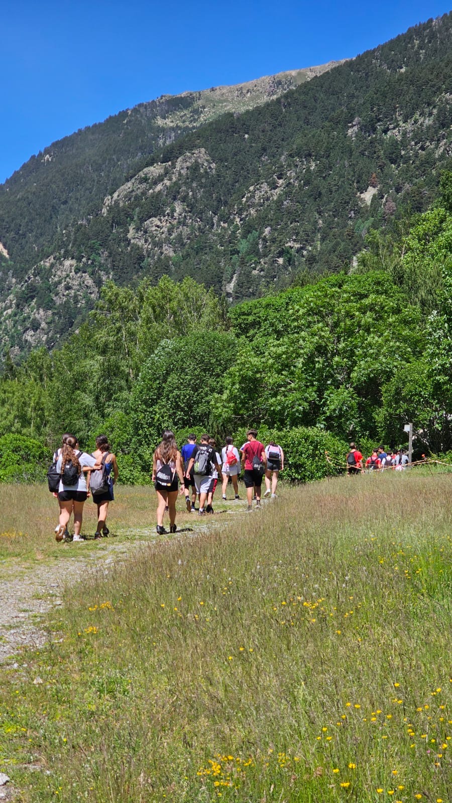 0d6b376d-0b17-46ee-93dc-e66f155a1433