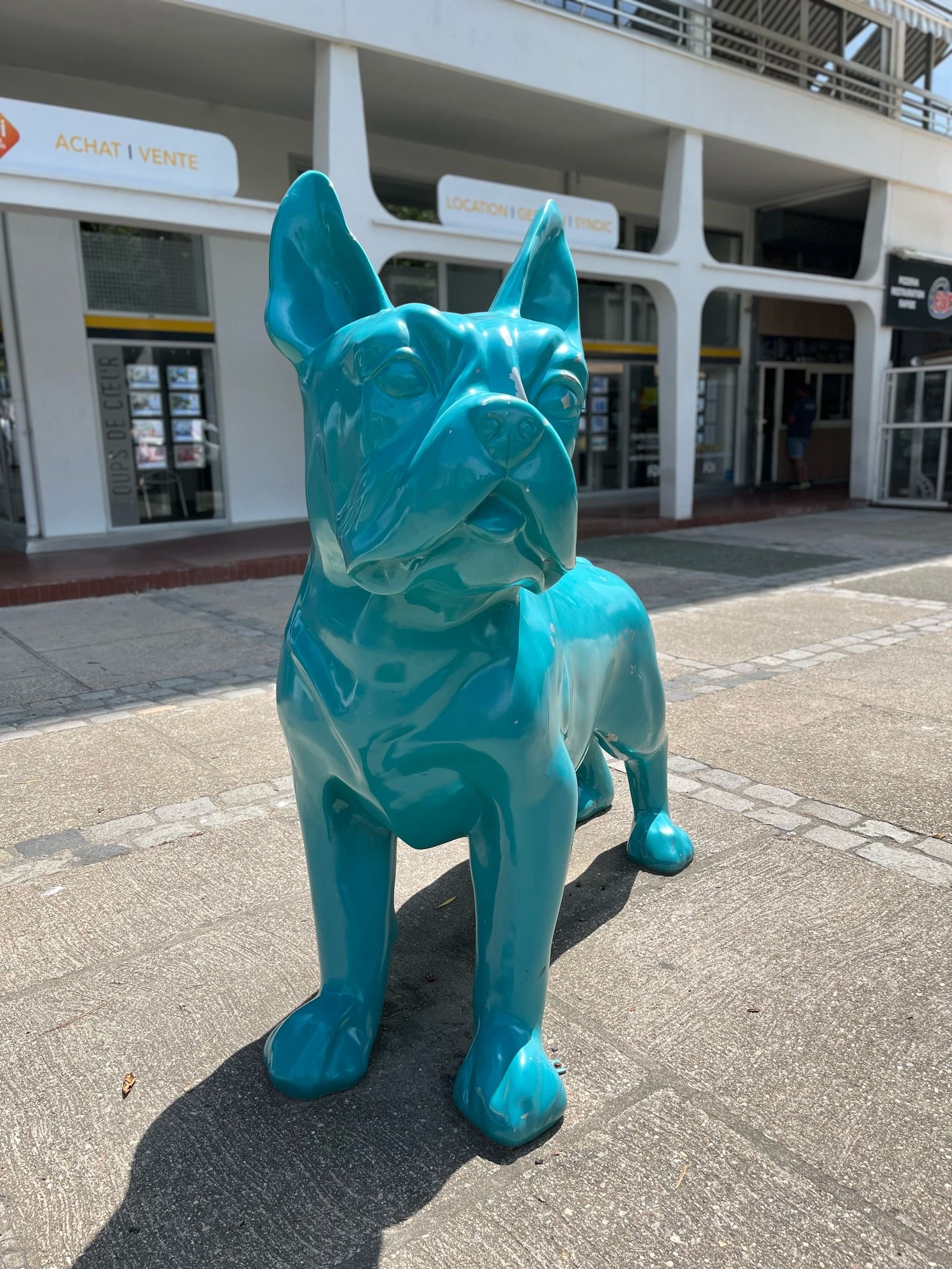 0e704c05-4419-45ea-a18d-9b75dd0914b5