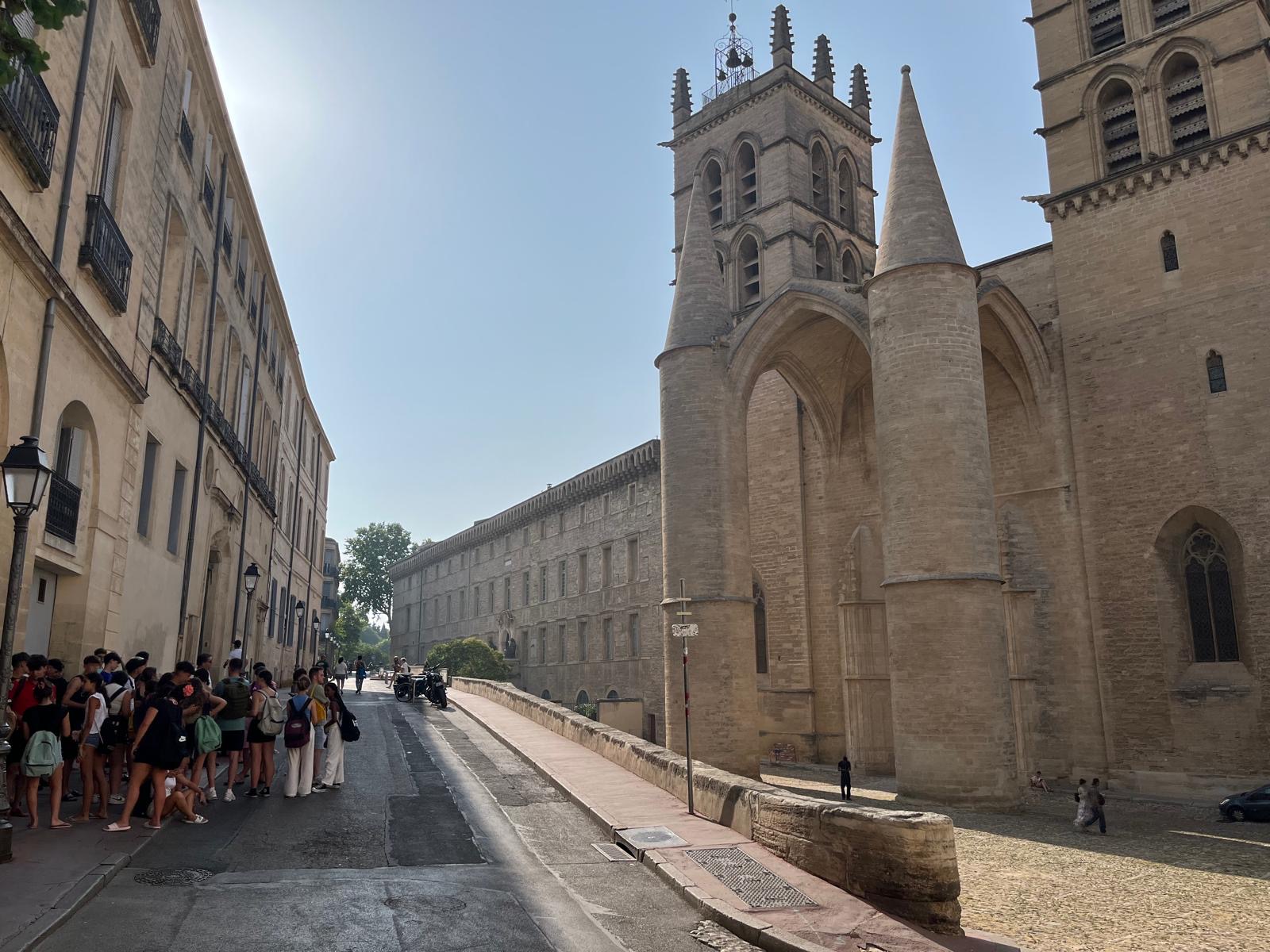 3c728222-bc3b-4c79-af6e-ab0dd399564e