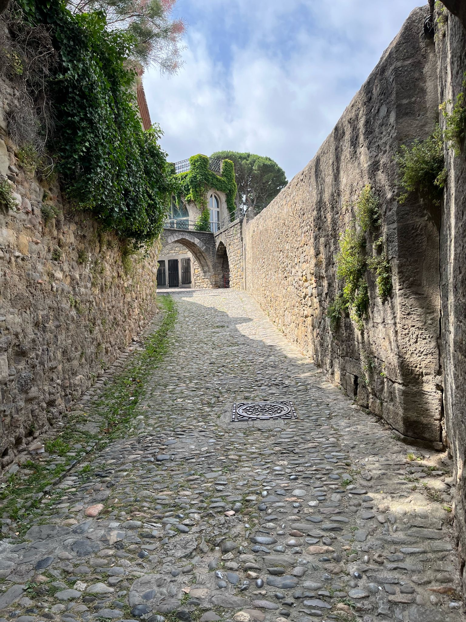 3e9c3308-4af3-48b0-ae33-383f81a8c469