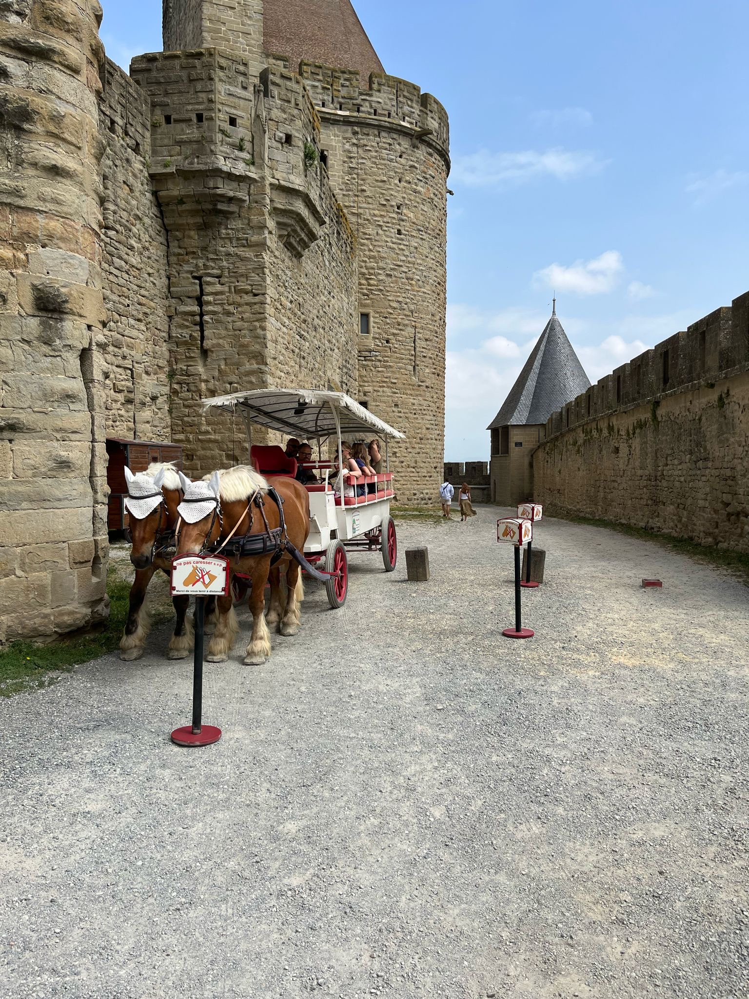 4129b86f-44e2-4456-a495-c74a88b2f30d