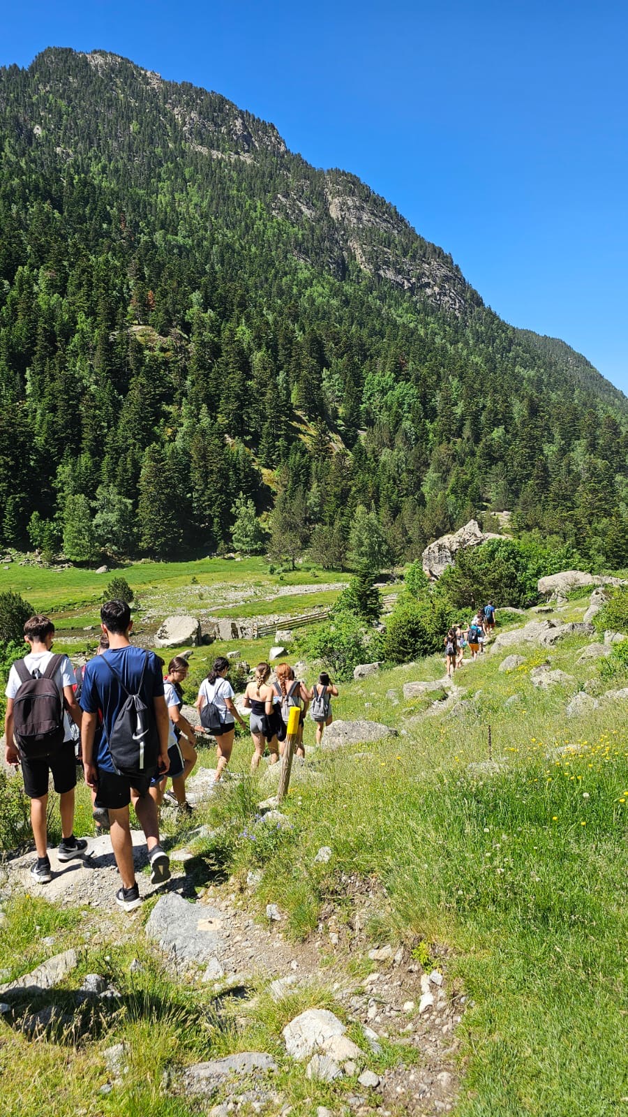 55204b24-4aca-4bb8-ad50-87777a370b53