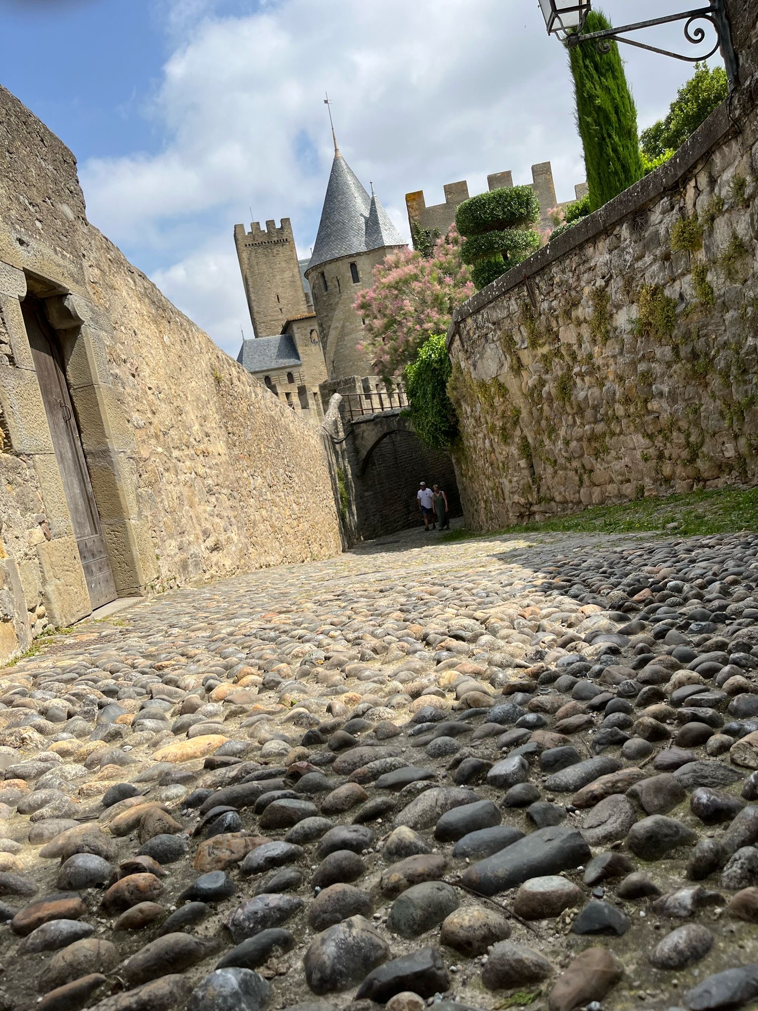 5cf19ba8-eb49-4ff2-b96f-b3e82d164490