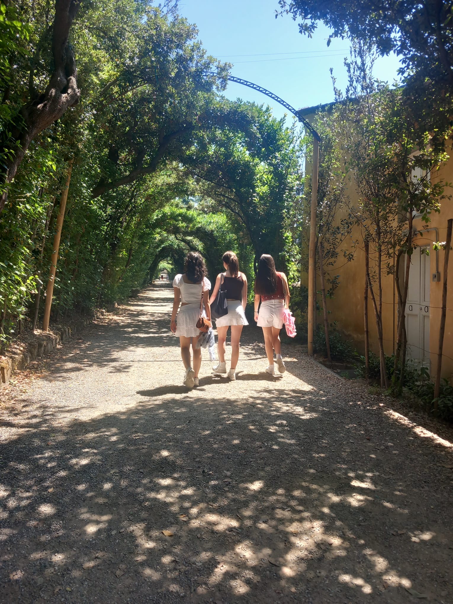 90c18955-c3b0-43ad-978a-c611162b4c0c