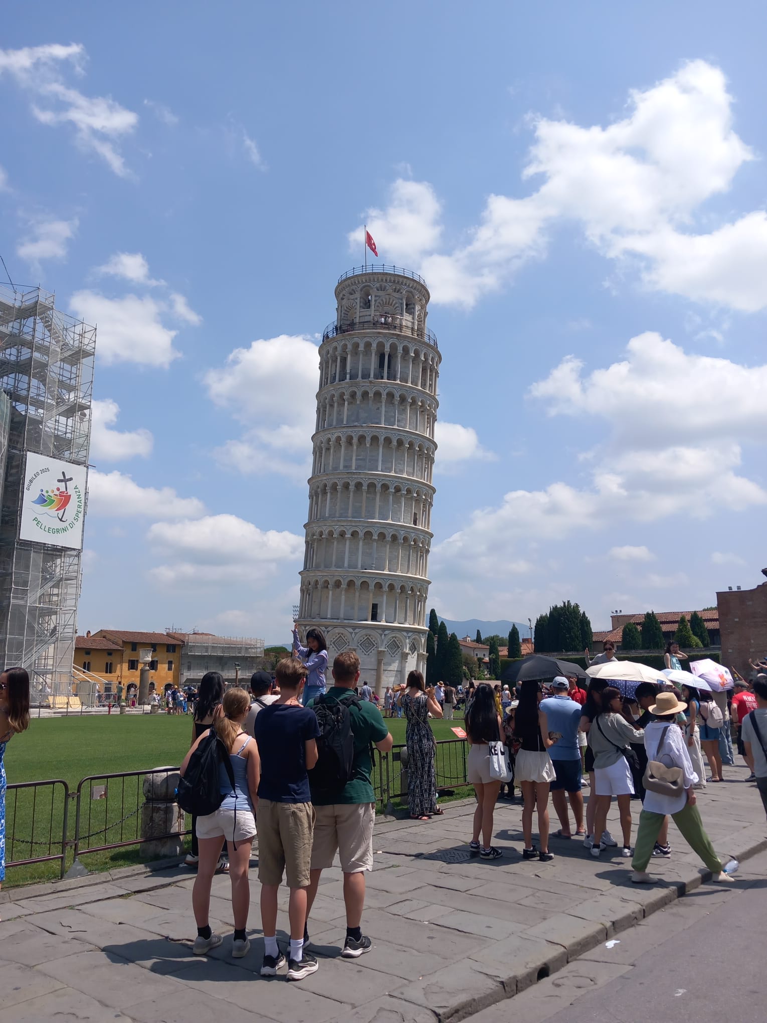 ae6005a6-4623-4f88-9298-8603e281f290