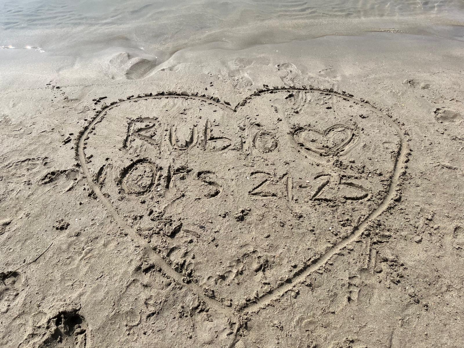 cc8f60ff-15bb-4474-83d0-8a9ac865a589