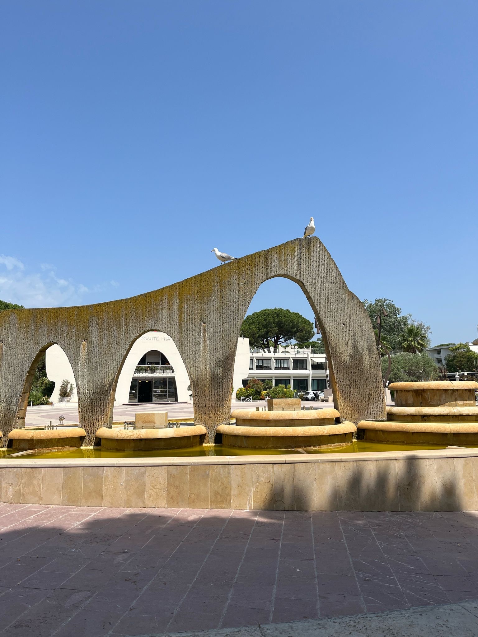 da858769-1451-4f17-ad4e-c8c602a8f6e5