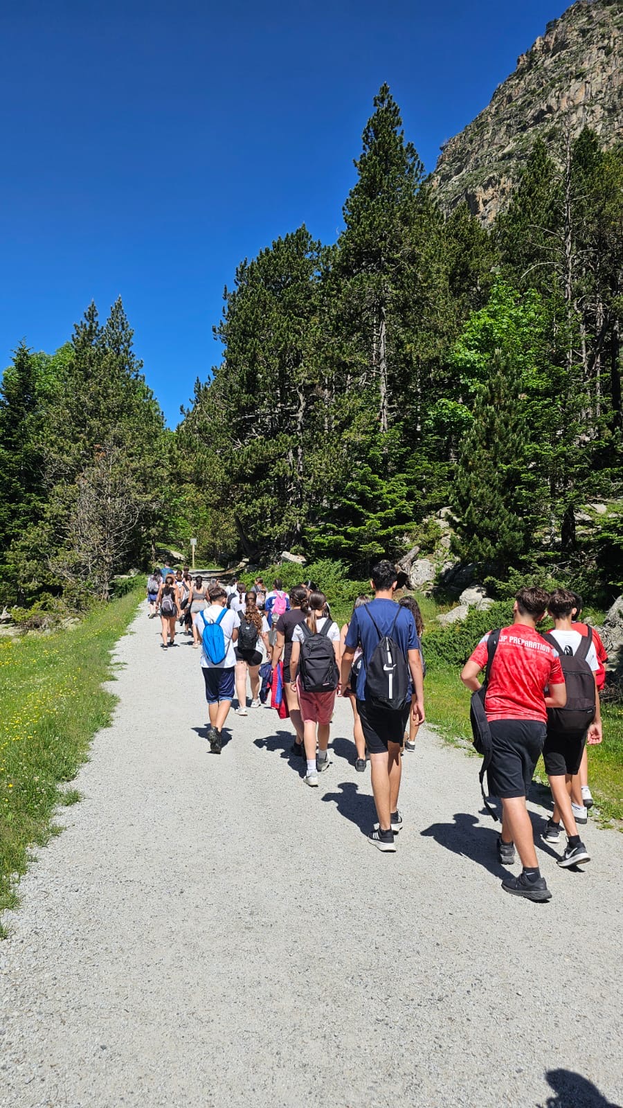 e3231181-d4c0-4f26-a78c-683d5788e940