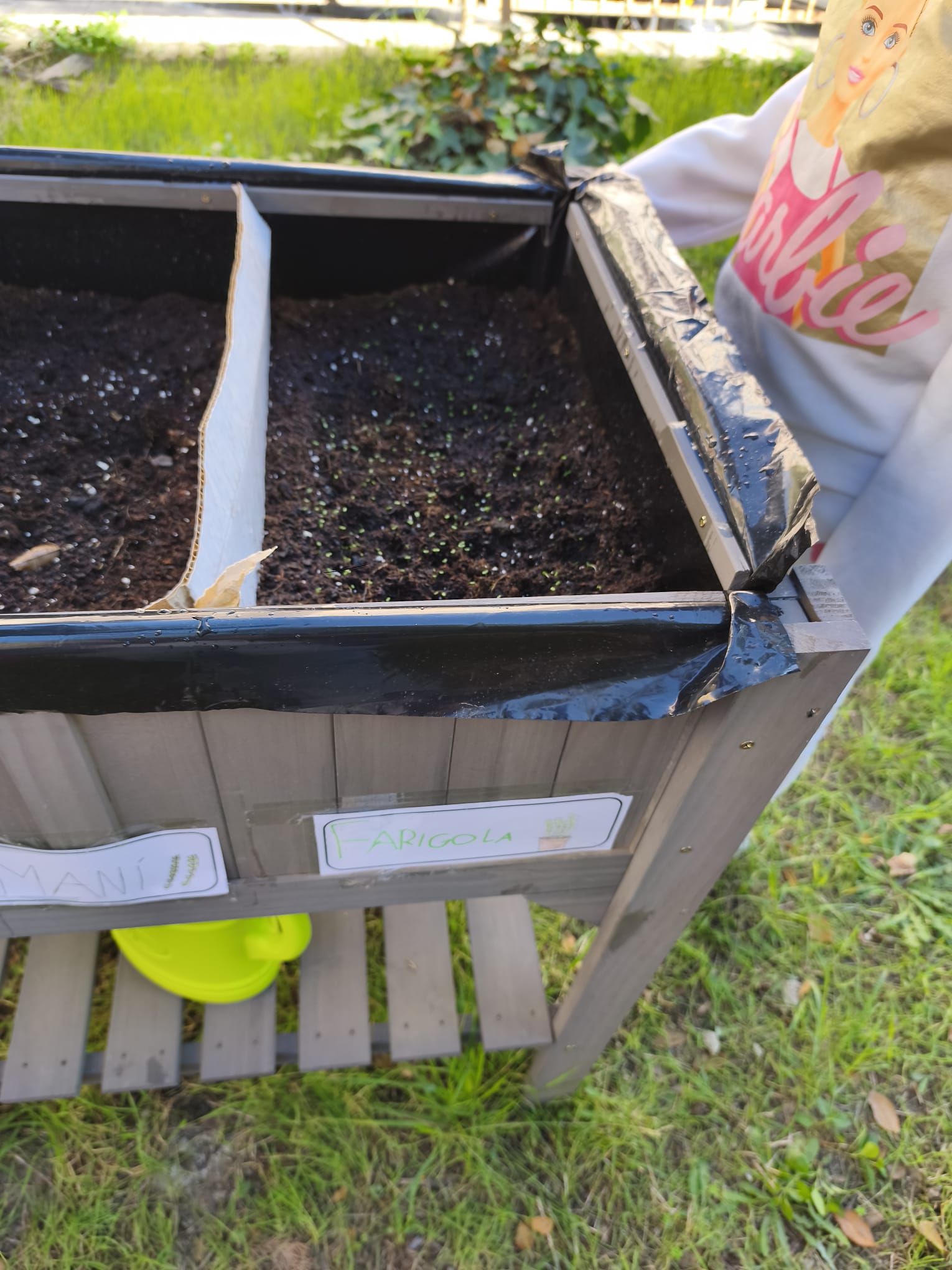 WhatsApp-Image-2025-11-20-at-13.23.14