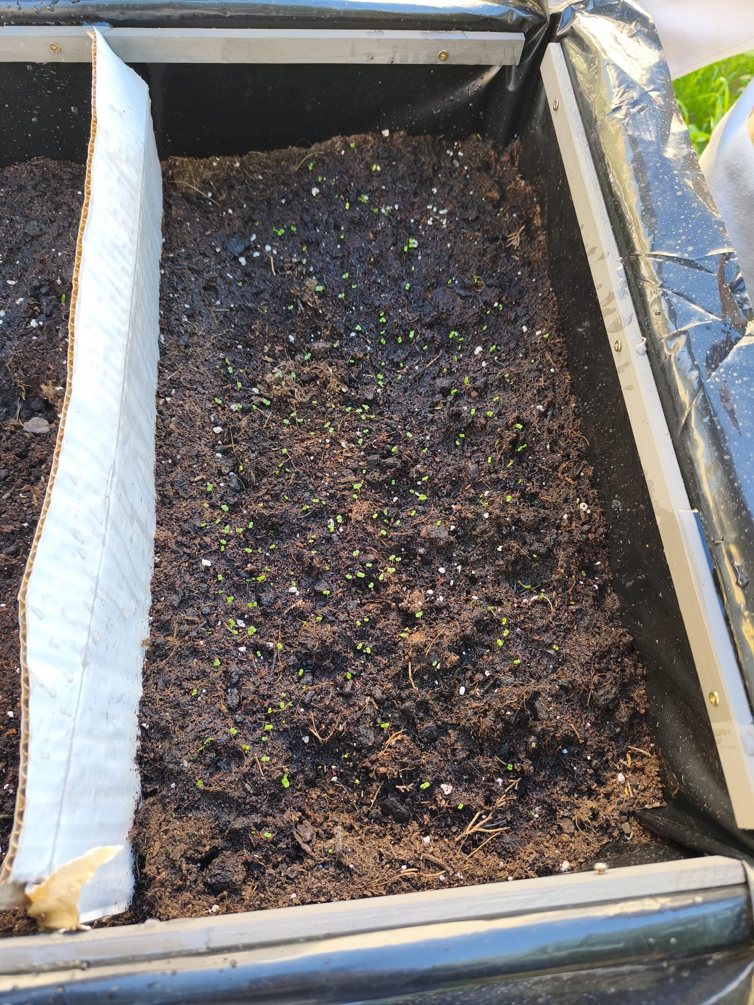 WhatsApp-Image-2025-11-20-at-13.23.15