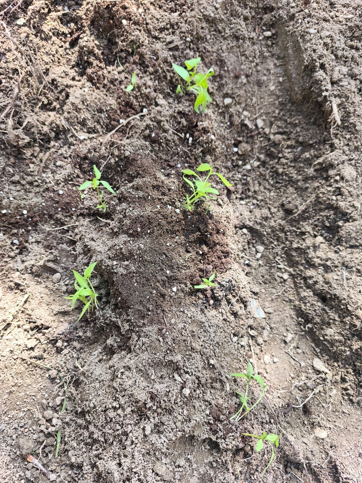 0fdccf93-2cf6-4848-a18b-4c5f9558e025