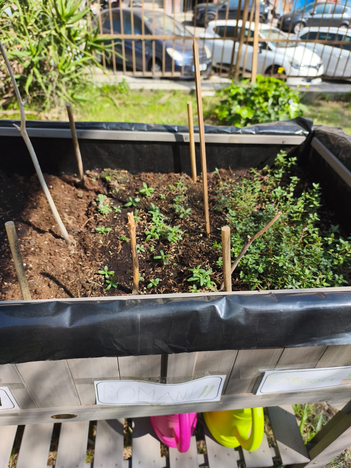 1c27a59e-2bad-4bcc-9bd4-c50c99705765