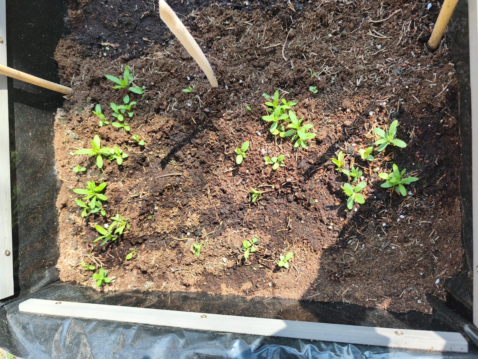 1ccd1d6d-f383-4ea4-9d84-952fcc9c0935