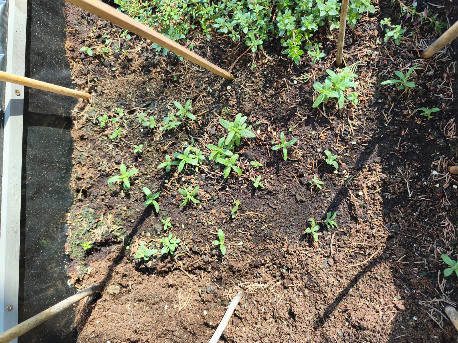 3b55515b-5247-4a95-96cd-ec56f45b889b