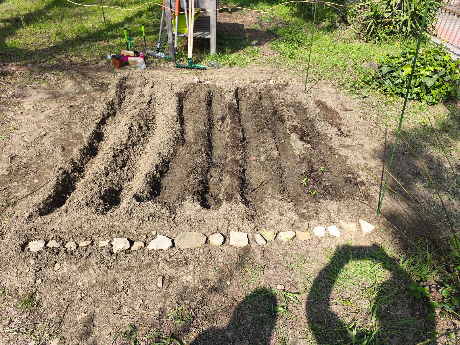 9a3613b8-ac1e-4363-a2df-8dbb788438e9