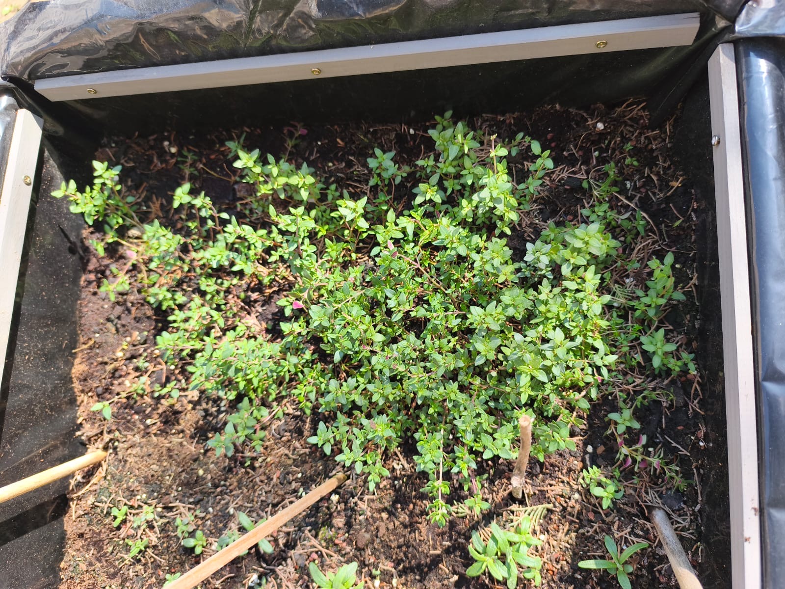 bee22e5e-aaae-4733-bf0d-e179d712f782