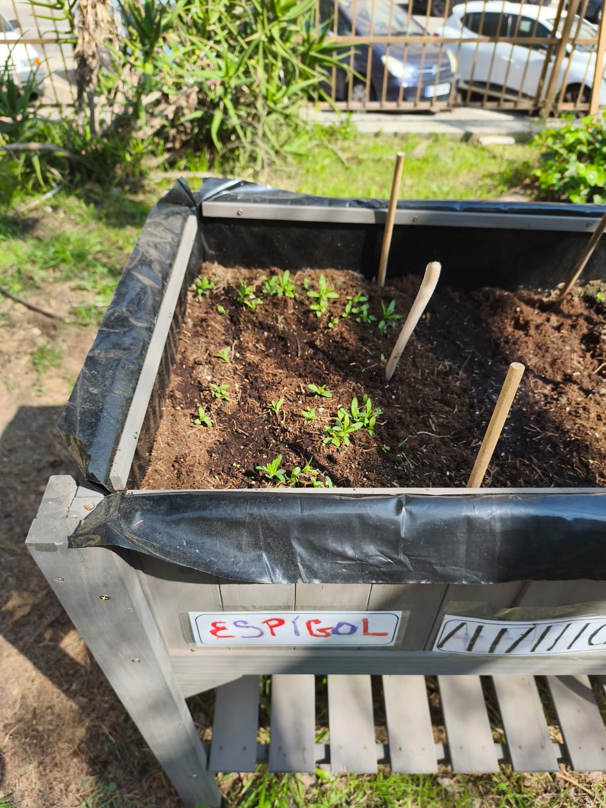 e719f95f-6368-41c9-80d1-3e5080c272a9