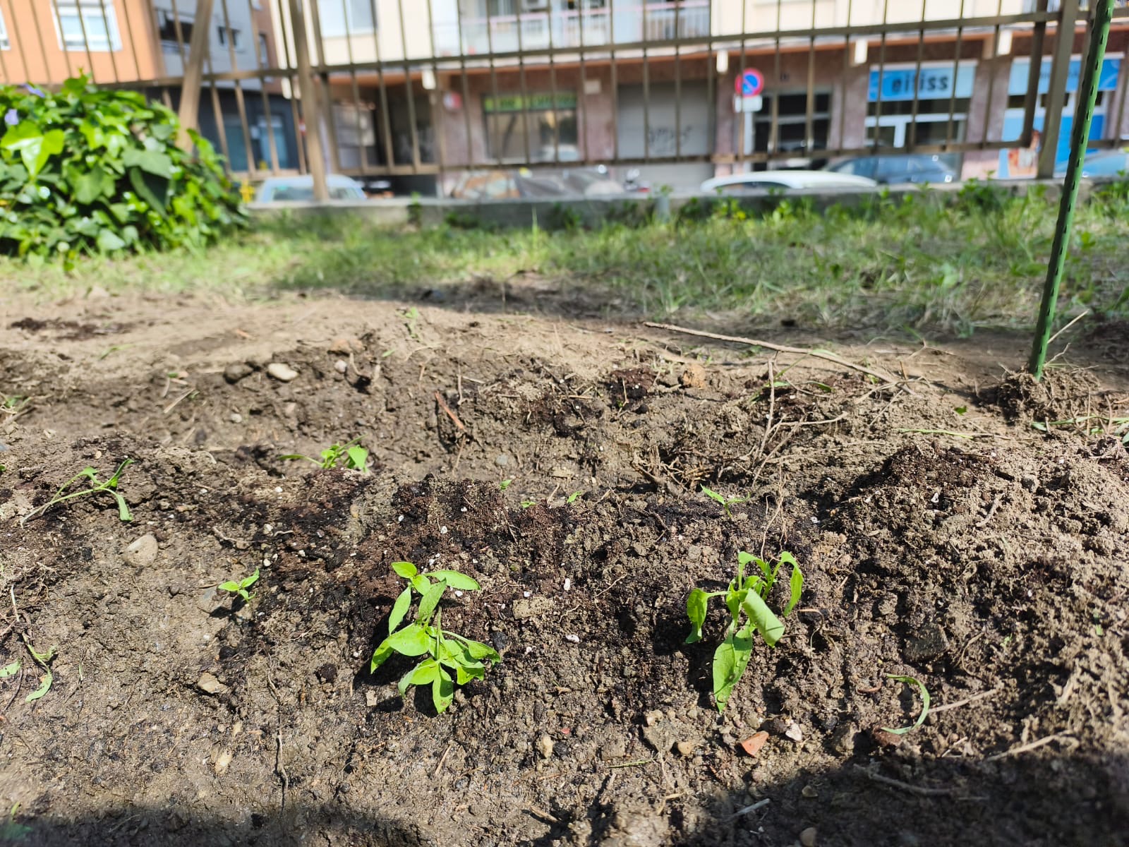 e8e77a59-4279-4b58-adbb-497c0835228a