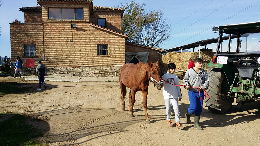 301639_00ab516d915948b586162738bf0acf6b_mv2_d_2322_1306_s_2