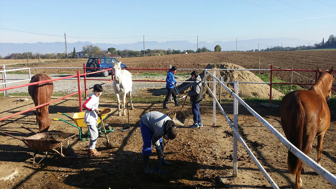 301639_24a34b8c87d94073bf9cad21bebb0f3a_mv2_d_2322_1306_s_2