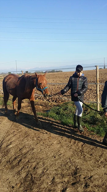 301639_74d5bceaf9244bf096efa45059ddc390_mv2_d_2322_4128_s_2