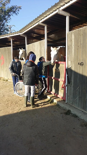 301639_a100fee7a0a544e596e5283ec511de3c_mv2_d_2322_4128_s_2