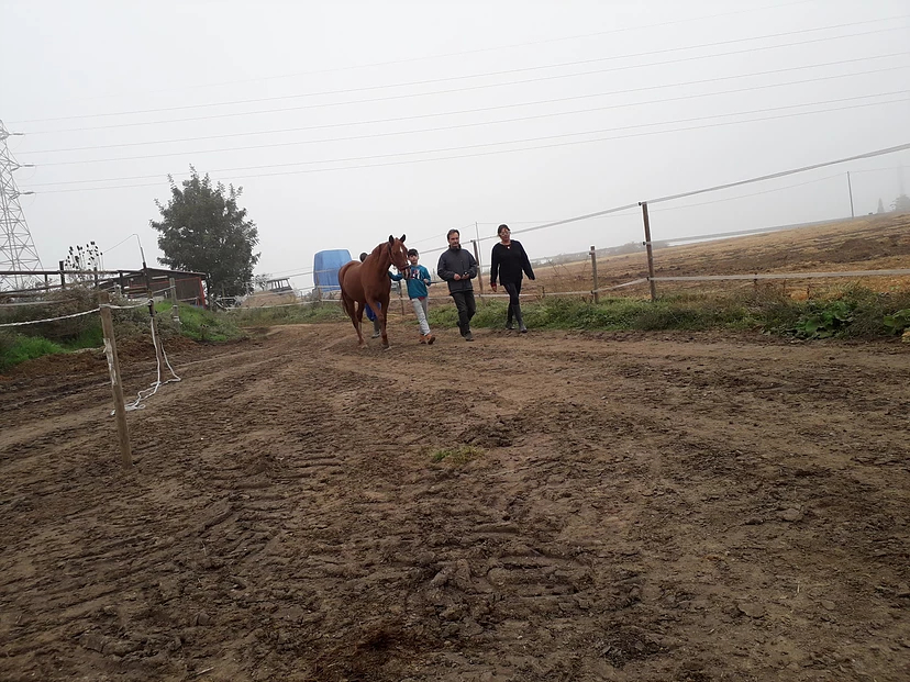 301639_f907d6f8e9df4ac1a34a0fd70f5744e4_mv2_d_3096_2322_s_2 (1)