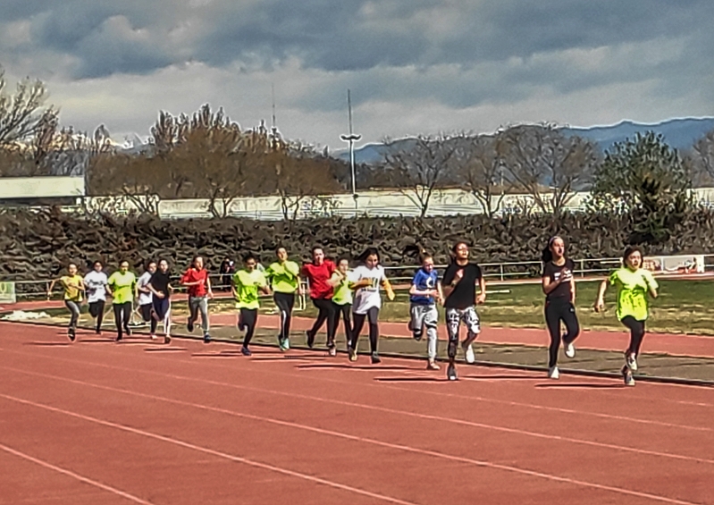 IMG_20200306_114138-01