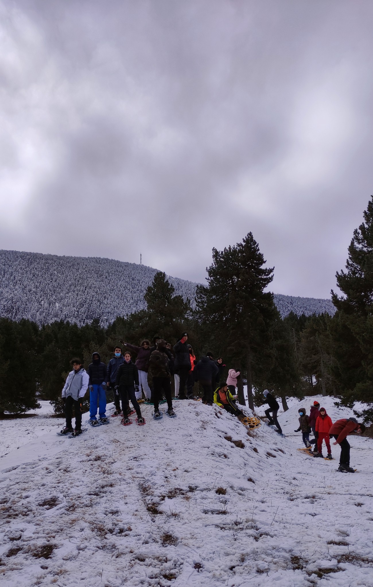 1647944773631-01_copy_1300x2046