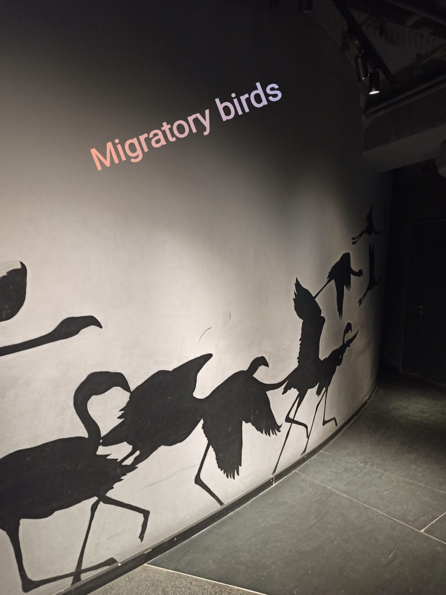 WhatsApp Image 2023-03-09 at 20.50.34