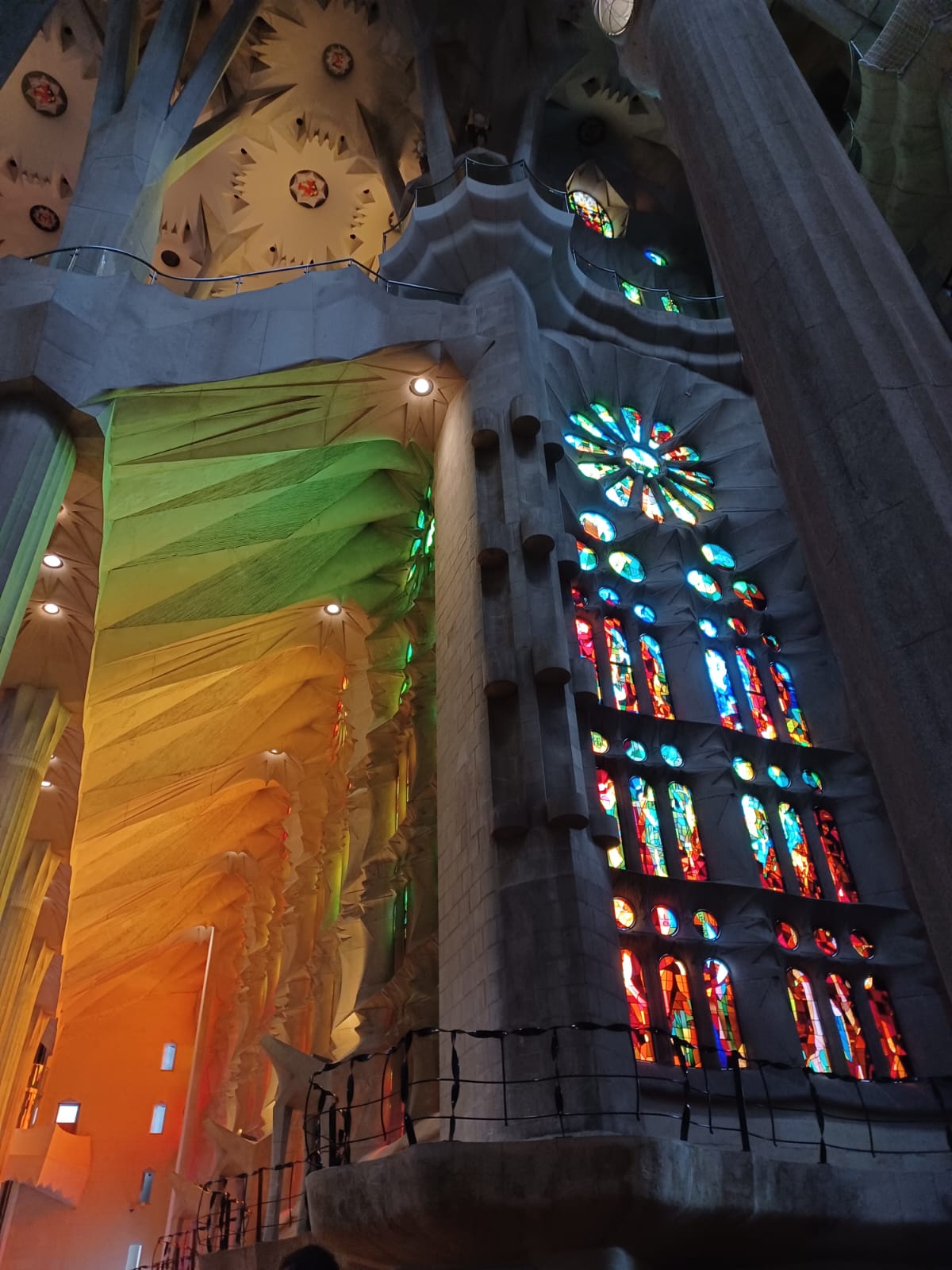 WhatsApp Image 2024-04-26 at 06.35.21