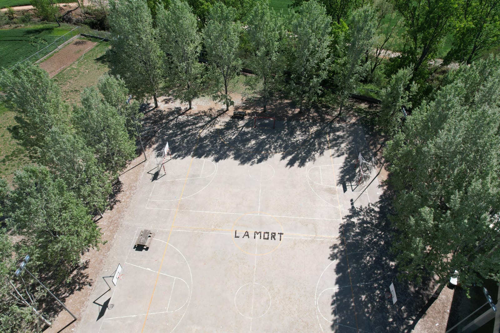 WhatsApp Image 2024-05-28 at 13.00.23 (1)