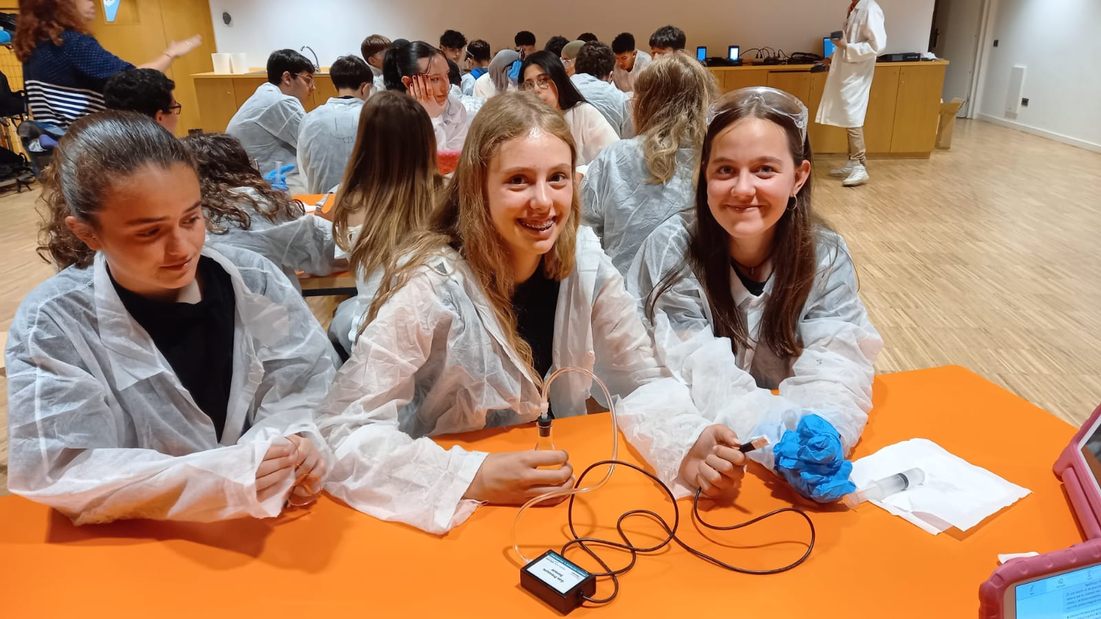 WhatsApp Image 2024-06-04 at 13.07.53