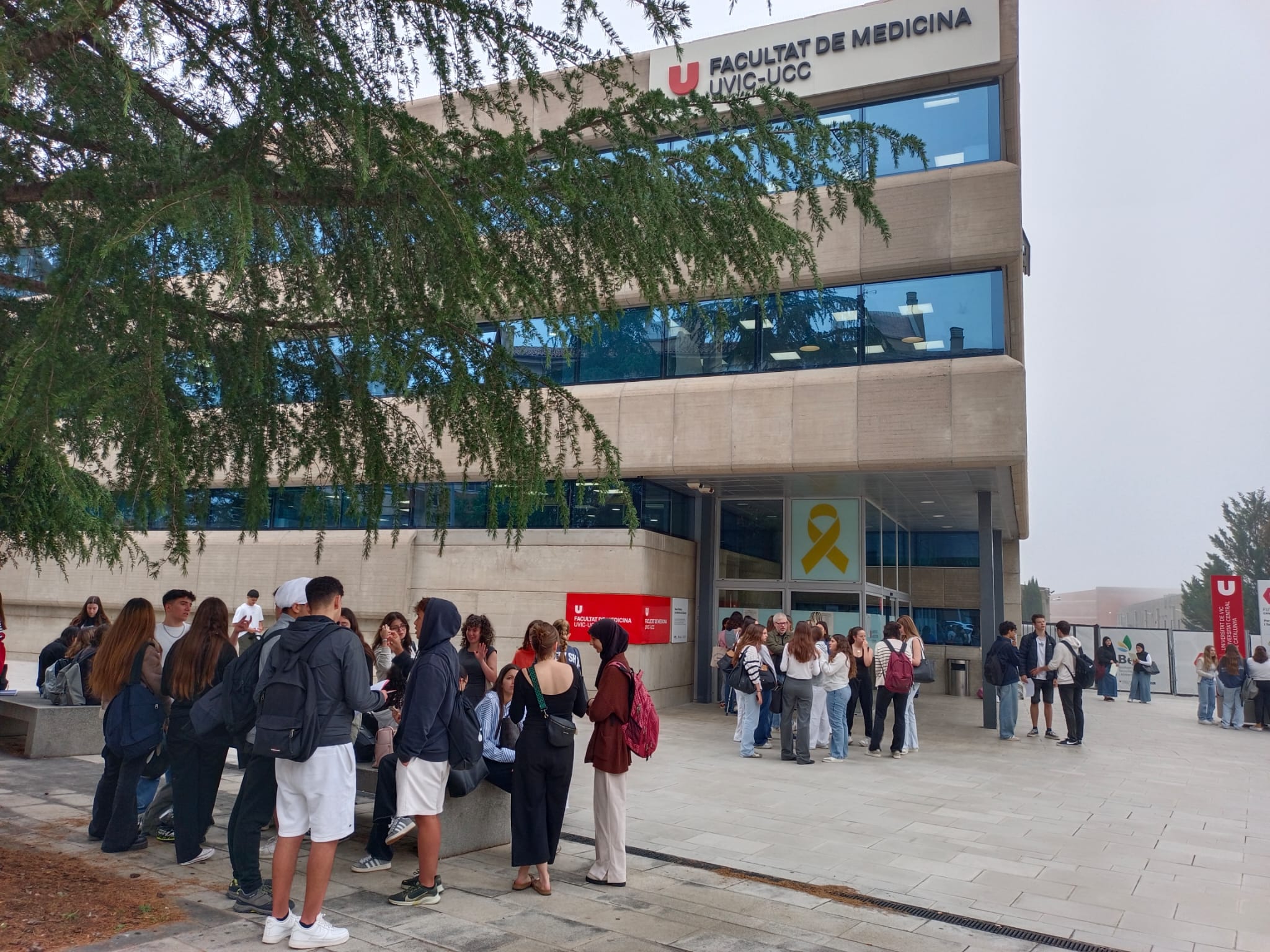 WhatsApp Image 2024-06-05 at 16.29.53