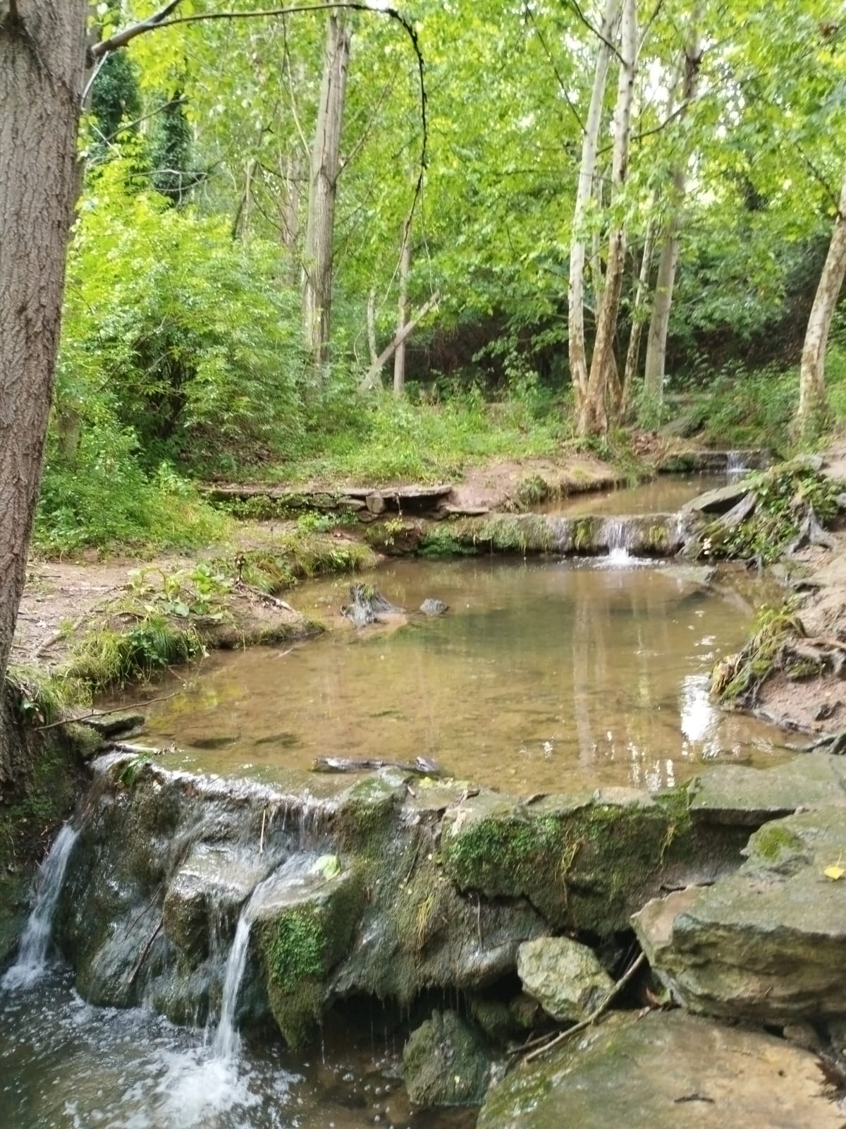 WhatsApp Image 2024-06-22 at 08.13.40 (1)