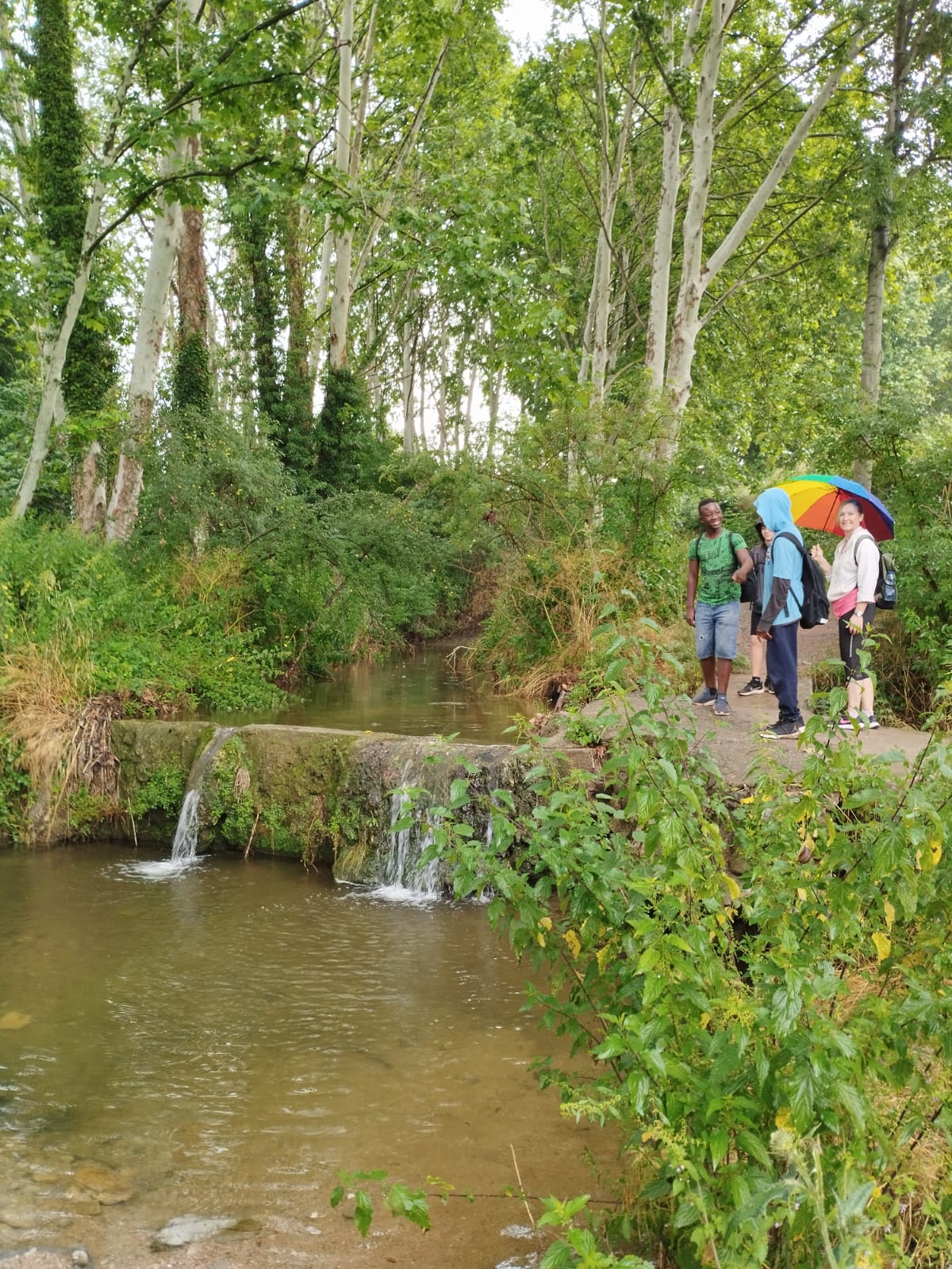 WhatsApp Image 2024-06-22 at 08.13.41