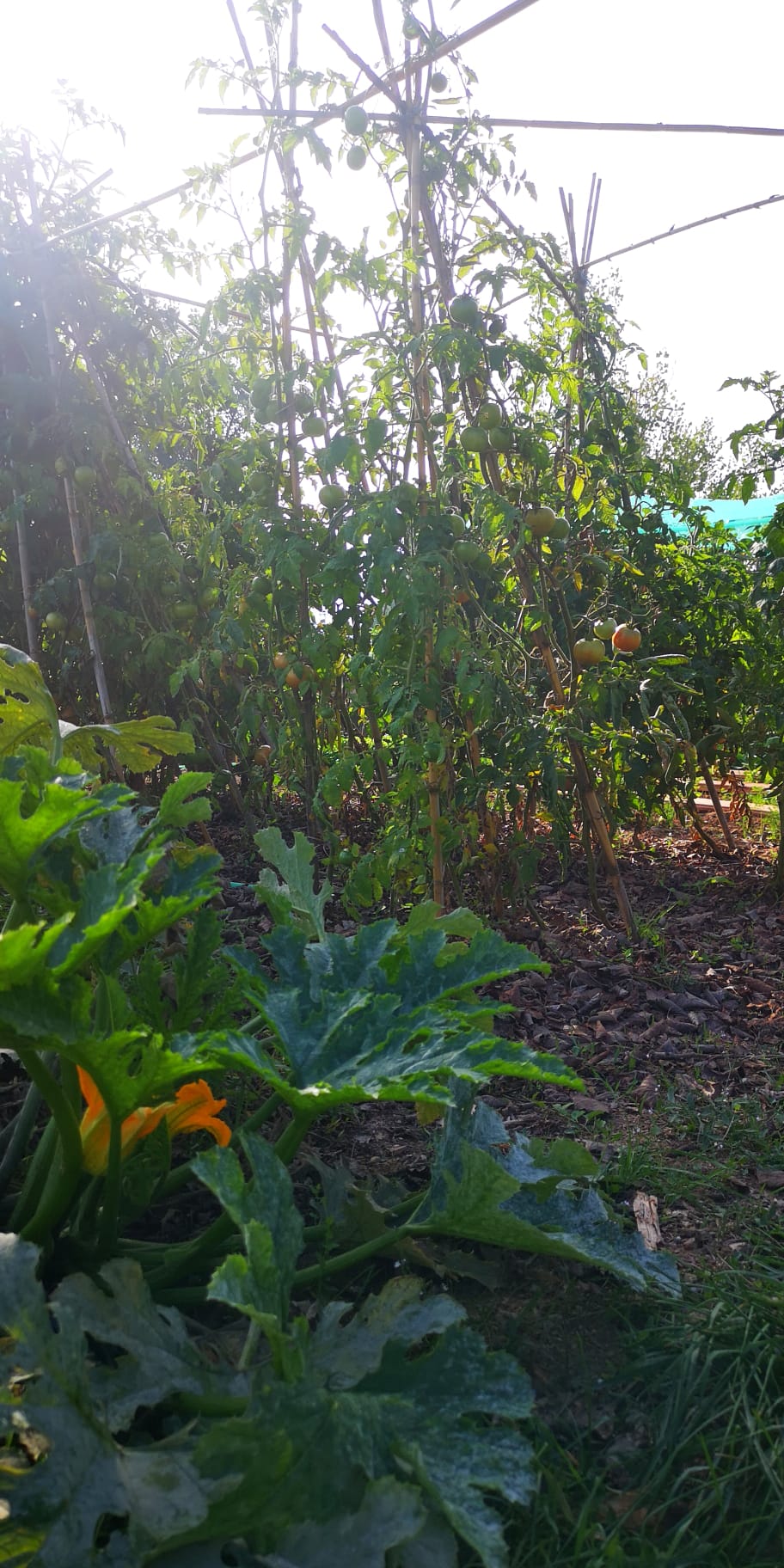 WhatsApp Image 2024-10-03 at 10.49.00