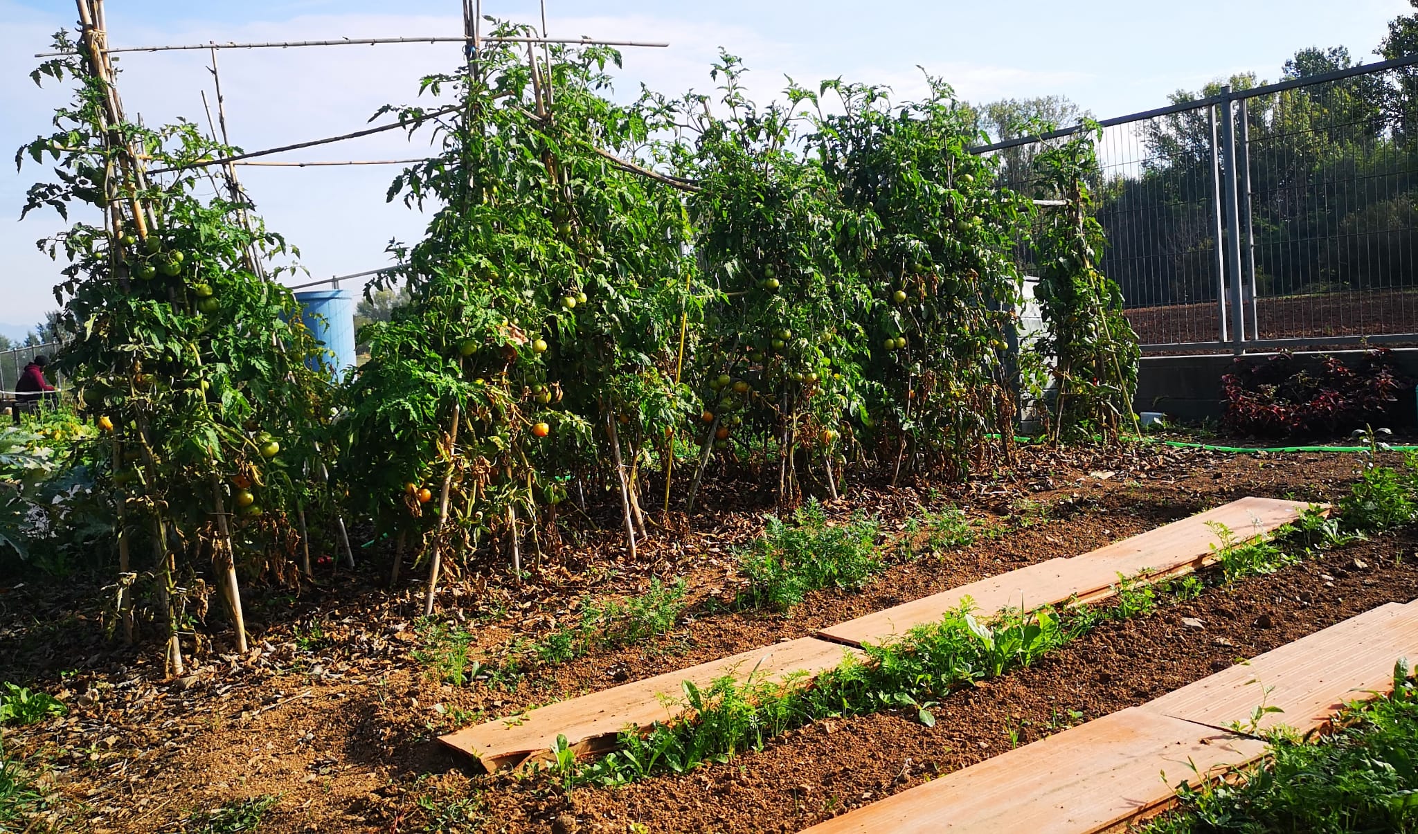 WhatsApp Image 2024-10-03 at 10.49.01 (1)