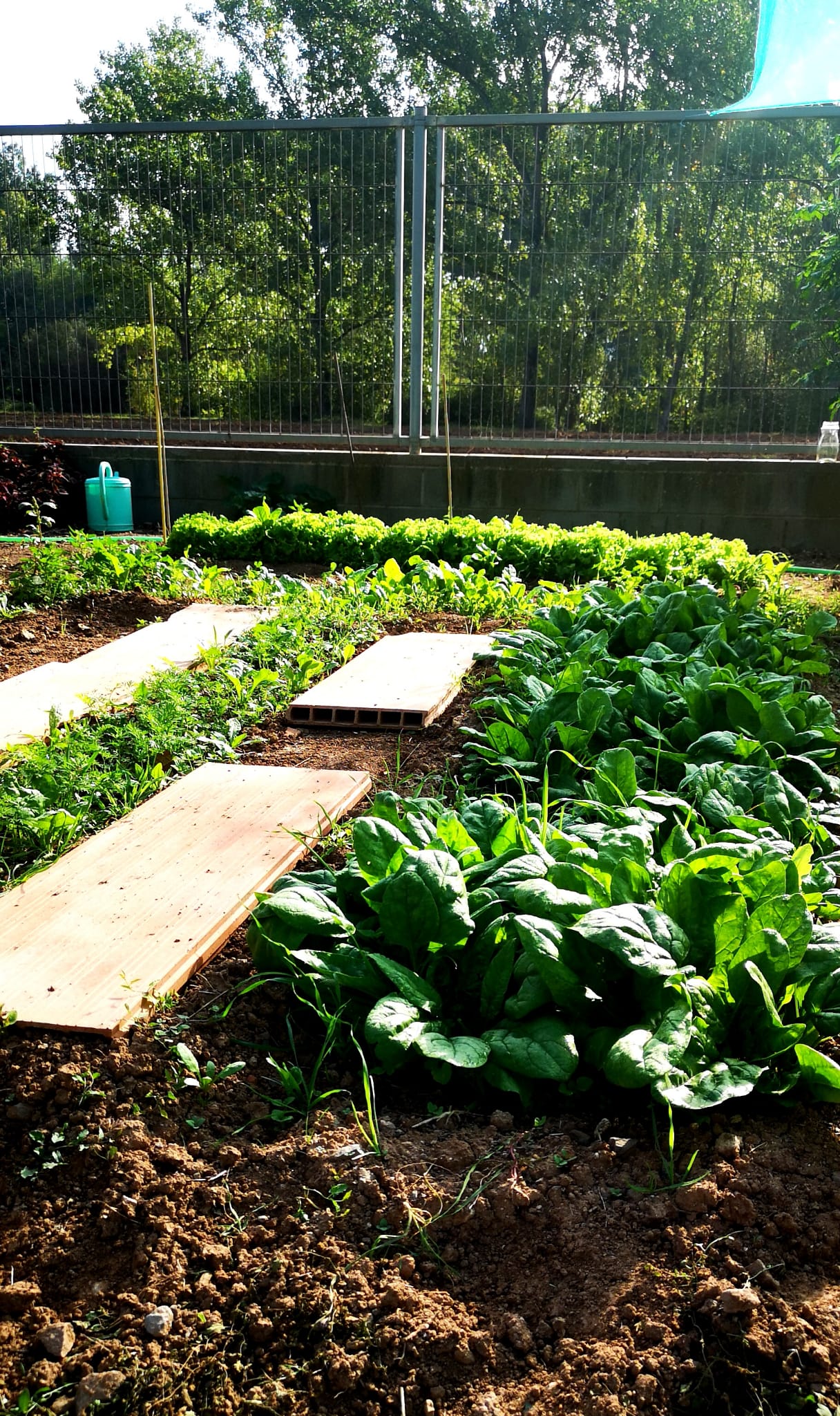 WhatsApp Image 2024-10-03 at 10.49.01 (2)