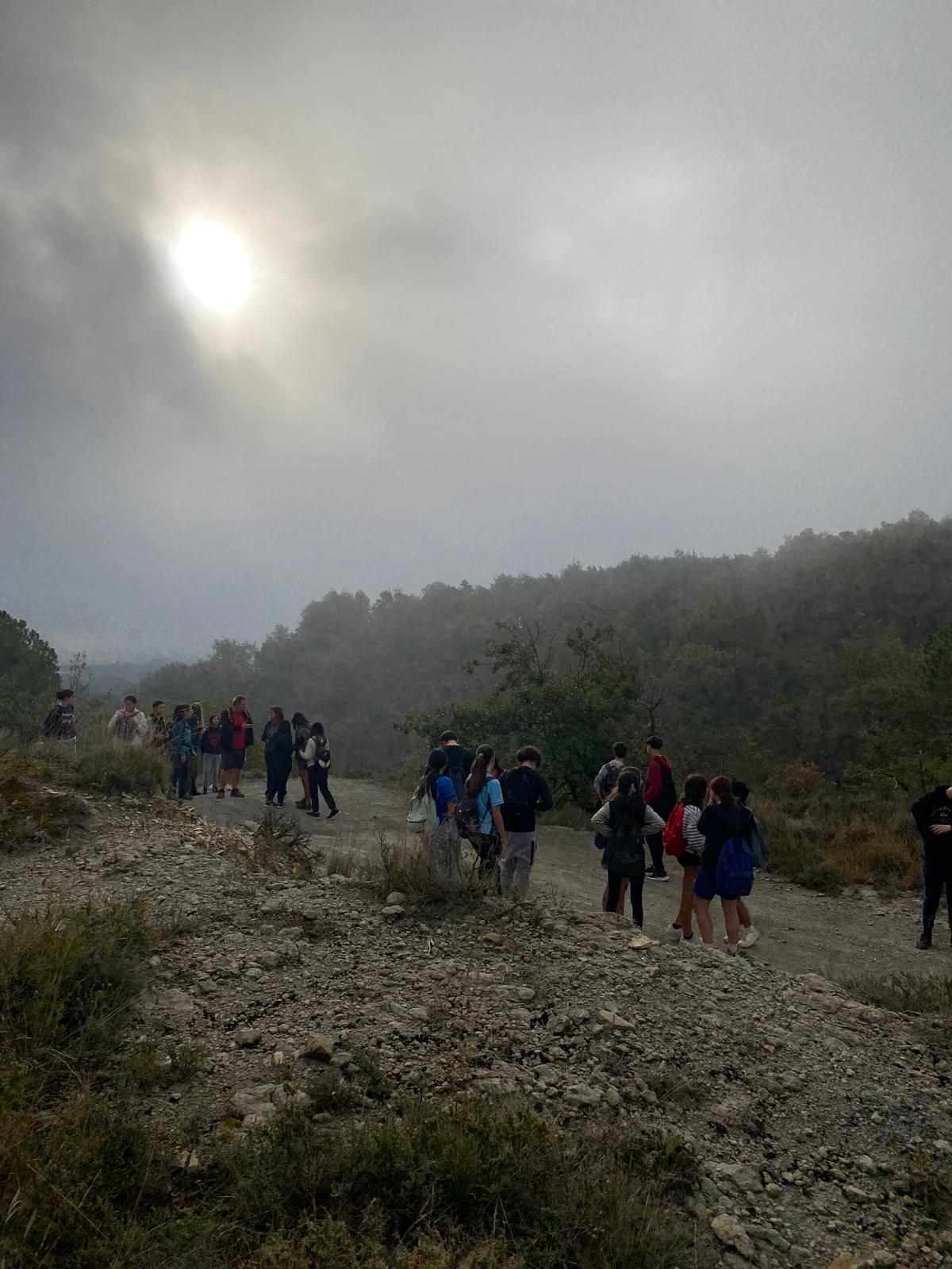 WhatsApp Image 2024-10-14 at 09.56.37