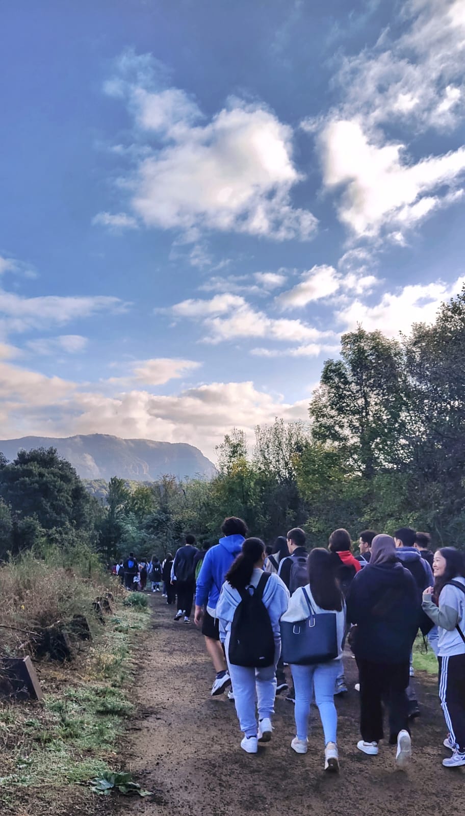 WhatsApp Image 2024-10-17 at 11.07.57 (1)