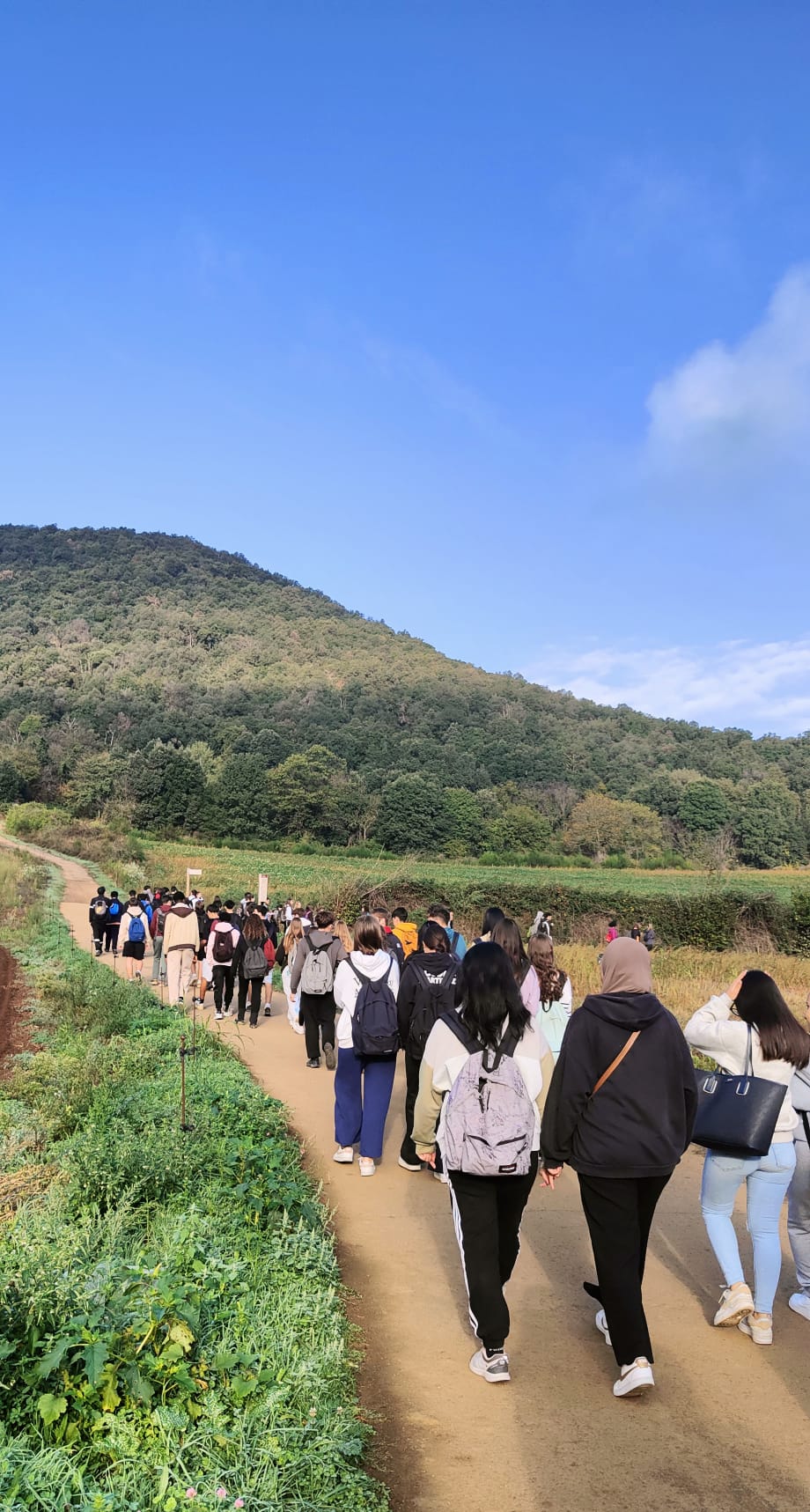 WhatsApp Image 2024-10-17 at 11.07.57 (2)